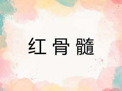 红骨髓