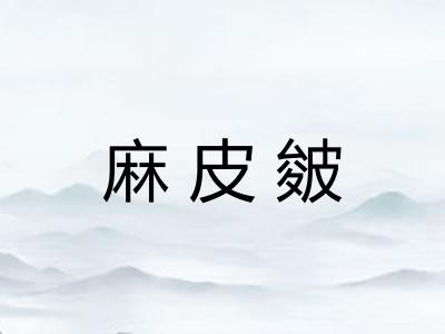 麻皮皴