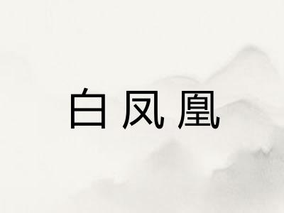 白凤凰