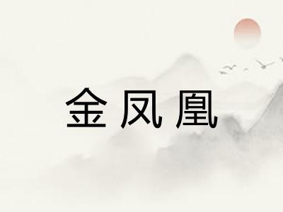 金凤凰