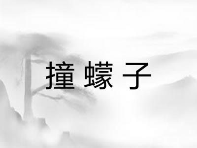 撞蠓子