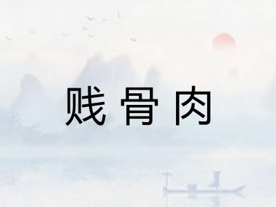 贱骨肉
