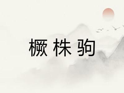 橛株驹