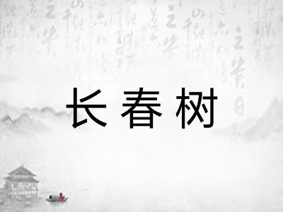 长春树