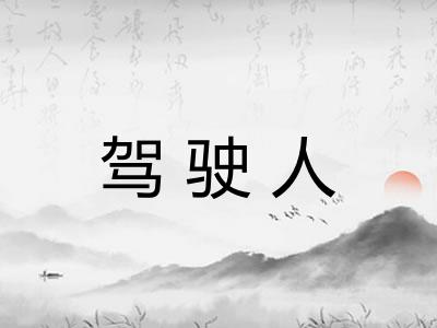 驾驶人