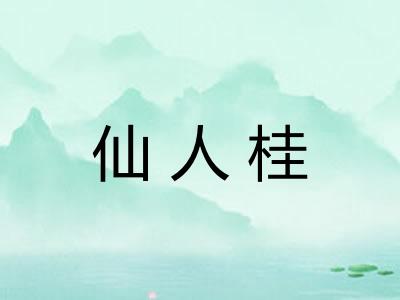 仙人桂