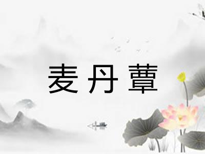 麦丹蕈