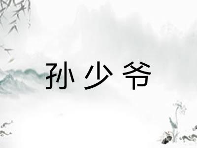 孙少爷