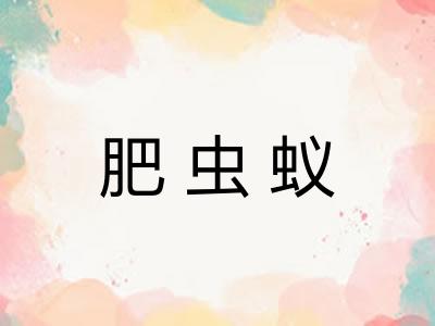 肥虫蚁