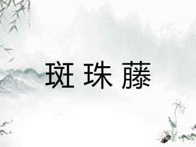斑珠藤