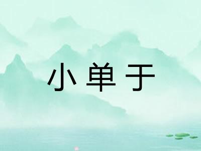 小单于