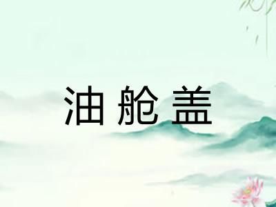 油舱盖