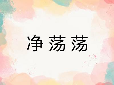 净荡荡