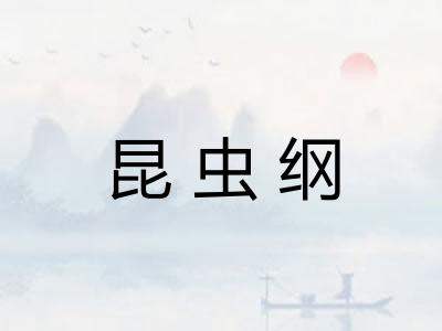 昆虫纲
