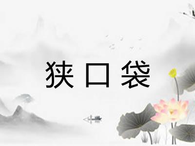 狭口袋