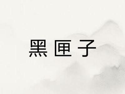 黑匣子