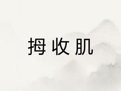 拇收肌