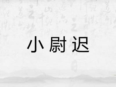 小尉迟 小尉迟