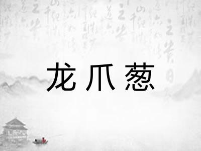 龙爪葱
