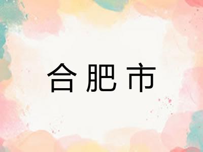 合肥市 合肥市