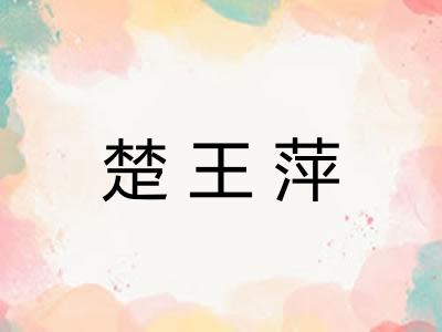 楚王萍