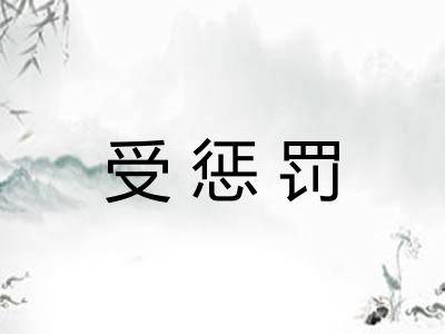 受惩罚