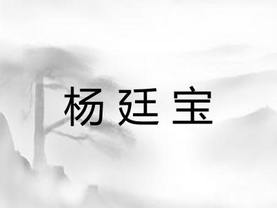 杨廷宝