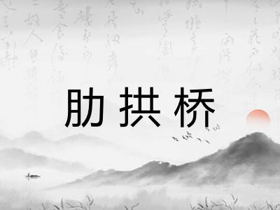 肋拱桥