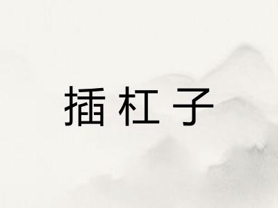 插杠子