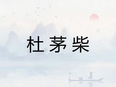 杜茅柴