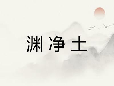 渊净土
