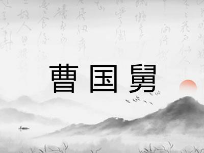 曹国舅