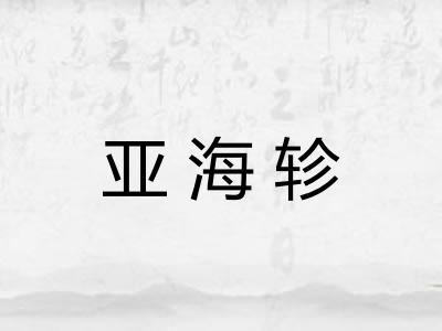 亚海轸