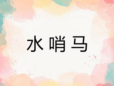 水哨马