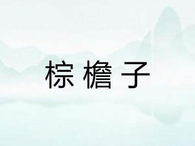 棕檐子