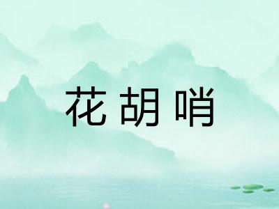 花胡哨