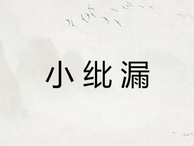 小纰漏