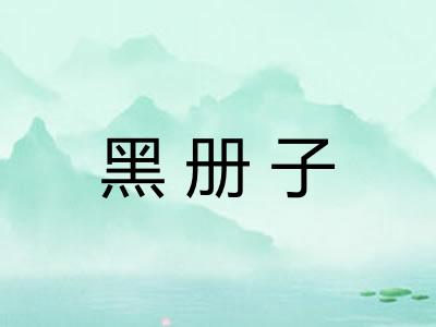 黑册子