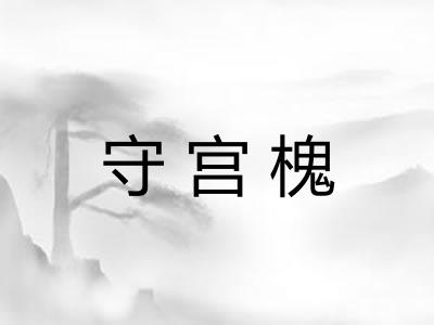 守宫槐 守宫槐