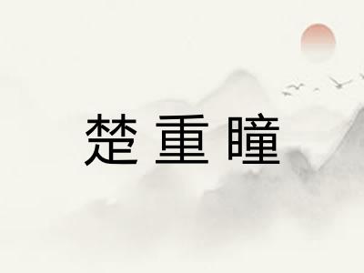 楚重瞳