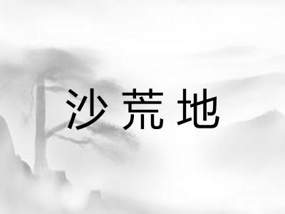 沙荒地