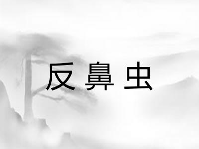 反鼻虫