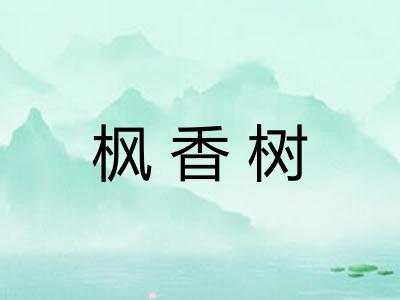 枫香树
