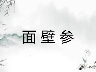 面壁参