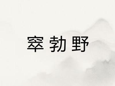 窣勃野