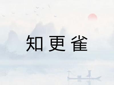 知更雀