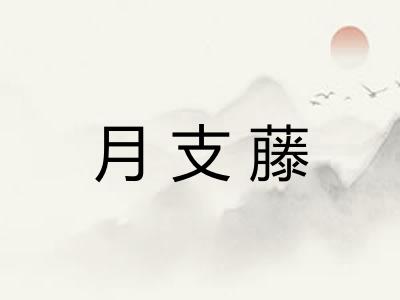 月支藤