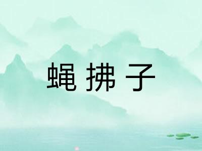 蝇拂子