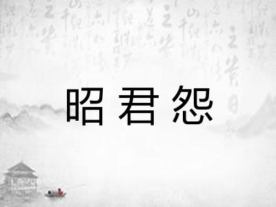 昭君怨