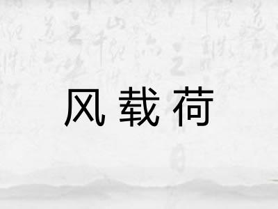 风载荷